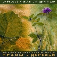 Растения средней полосы России "Травы и Деревья". (Цифровые атласы-определители) - fgospostavki.ru - Асбест