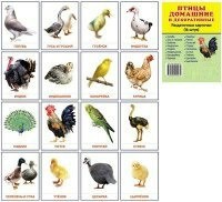 Раздаточные карточки "Птицы домашние и декоративные" - fgospostavki.ru - Асбест
