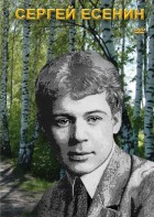 DVD "Сергей Есенин" - fgospostavki.ru - Асбест