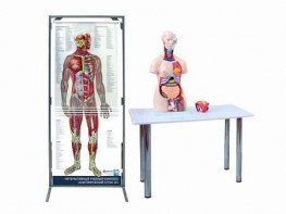 Интерактивный учебный комплекс "Анатомический атлас 3D" - fgospostavki.ru - Асбест