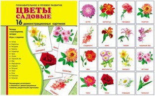 Демонстрационные карточки "Цветы садовые" - fgospostavki.ru - Асбест