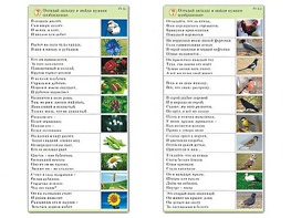 Комплект карточек (10) "Обучающий калейдоскоп. Природа" - fgospostavki.ru - Асбест