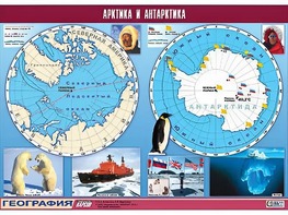 Таблица демонстрационная "Арктика и Антарктика" (винил 100*140) - fgospostavki.ru - Асбест