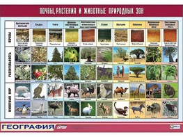 Таблица демонстрационная "Почвы, растения и животные природных зон" (винил 70*100) - fgospostavki.ru - Асбест