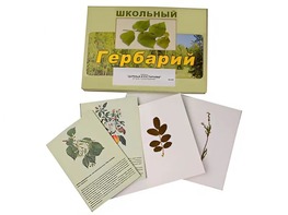 Гербарий "Деревья и кустарники" (22 вида, с иллюстрациями) - fgospostavki.ru - Асбест