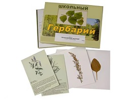 Гербарий "Лекарственные растения" (22 вида с иллюстрациями) - fgospostavki.ru - Асбест