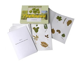 Гербарий "Морфология растений" (6 тем, 30 видов) - fgospostavki.ru - Асбест