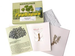 Гербарий "Водоросли. Грибы. Лишайники" (раздаточный) - fgospostavki.ru - Асбест