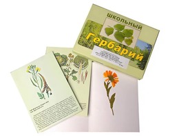Гербарий "Систематика растений. Семейство Пасленовые. Крестоцветные. Сложноцветные" (раздаточный) - fgospostavki.ru - Асбест
