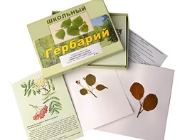 Гербарий "Систематика растений. Семейство Розоцветные" (раздаточный) - fgospostavki.ru - Асбест