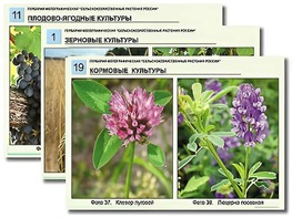 Гербарий фотографический "Сельскохозяйственные растения России" - fgospostavki.ru - Асбест