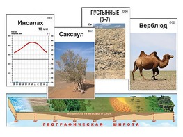Модель-аппликация "Природные зоны" - fgospostavki.ru - Асбест