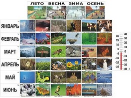 Фенологические наблюдения - fgospostavki.ru - Асбест