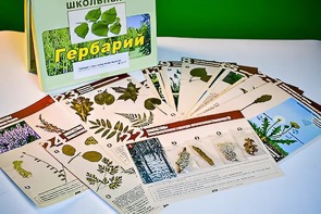 Гербарий к курсу основ общей биологии - fgospostavki.ru - Асбест
