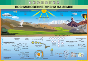 Таблица "Возникновение жизни на земле" (100х140 сантиметров, винил) - fgospostavki.ru - Асбест
