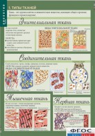 Комплект таблиц. Биология 8-9 класс. Человек. - fgospostavki.ru - Асбест