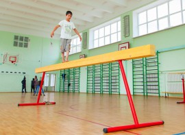 Бревно гимнастическое напольное постоянной высоты (700 мм) (5 м)	 - fgospostavki.ru - Асбест