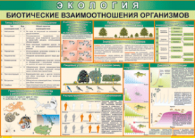 Таблица "Биотические взаимоотношения организмов" (100х140 сантиметров, винил) - fgospostavki.ru - Асбест