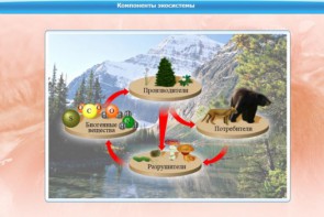 Интерактивные курсы. Биология 7 класс. Базовый. - fgospostavki.ru - Асбест