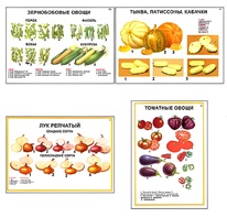 Плакаты ПРОФТЕХ "Ассортимент овощных культур" (12 пл, винил, 70х100) - fgospostavki.ru - Асбест