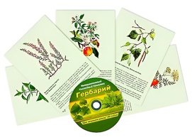 Интерактивный наглядный комплекс "Гербарий "Для начальной школы" - fgospostavki.ru - Асбест