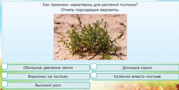 Интерактивные курсы. Окружающий мир 3 класс . Базовый. - fgospostavki.ru - Асбест