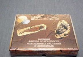 Коллекция "Формы сохранности ископаемых растений и животных" - fgospostavki.ru - Асбест
