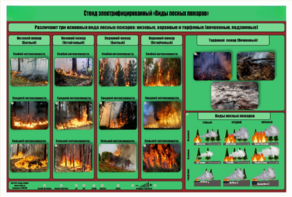 Стенд-планшет электрифицированный «Виды лесных пожаров»  - fgospostavki.ru - Асбест