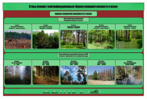 Стенд-планшет электрифицированный «Оценка пожарной опасности в лесах»  - fgospostavki.ru - Асбест