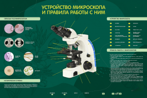 Электрифицированный стенд "Устройство микроскопа и правила работы c ним" - fgospostavki.ru - Асбест