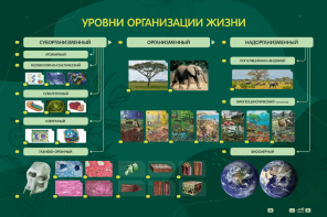 Электрифицированный стенд "Уровни организации жизни" - fgospostavki.ru - Асбест