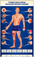 Электрифицированный стенд-тренажер "Травматизм и меры оказания первой помощи" - fgospostavki.ru - Асбест