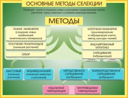 Стенд "Методы селекции и биотехнологии" - fgospostavki.ru - Асбест