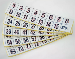 Фишки для игры «Бинго» со шрифтом Брайля - fgospostavki.ru - Асбест