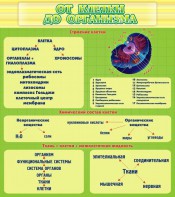 Стенд "От клетки до организма" - fgospostavki.ru - Асбест
