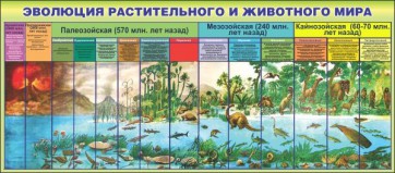 Стенд "Эволюция растительного и животного мира" - fgospostavki.ru - Асбест
