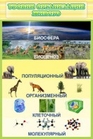 Стенд "Уровни организации живого" - fgospostavki.ru - Асбест