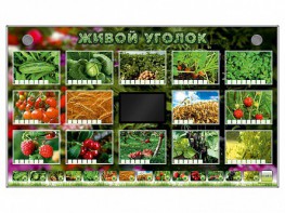 Комплект оборудования "Живой уголок" (растения) - fgospostavki.ru - Асбест