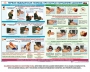 Комплект плакатов "Оказание первой доврачебной медицинской помощи" - fgospostavki.ru - Асбест