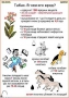 Комплект кодотранспарантов "Ядовитые растения" - fgospostavki.ru - Асбест